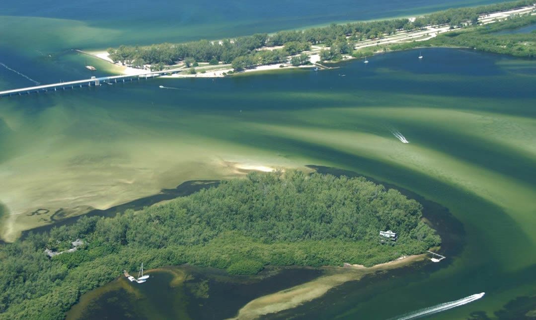 Longboat_Key_21